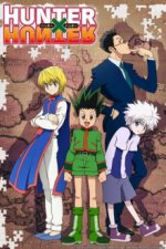 Hunter x Hunter Cover, Hunter x Hunter Stream