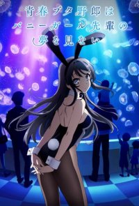 Cover Rascal Does Not Dream of Bunny Girl Senpai, TV-Serie, Poster