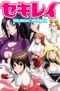 Sekirei Cover, Poster, Sekirei DVD