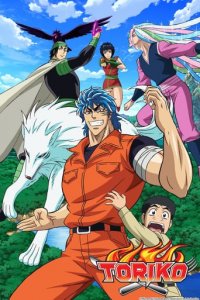 Toriko Cover, Poster, Toriko DVD