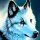 Profilbild Wolfi, Avatar