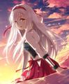 User Shoukaku, Profilbild