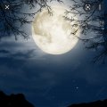 Bright_Moon